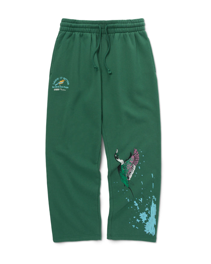 Shop Parks Project x Audubon Sweatpant Inspired by Birds in National Parks | forest-green