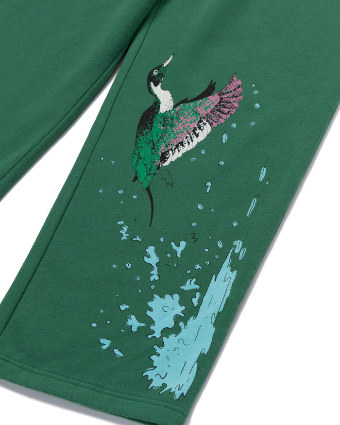 Shop Parks Project x Audubon Sweatpant Inspired by Birds in National Parks | forest-green