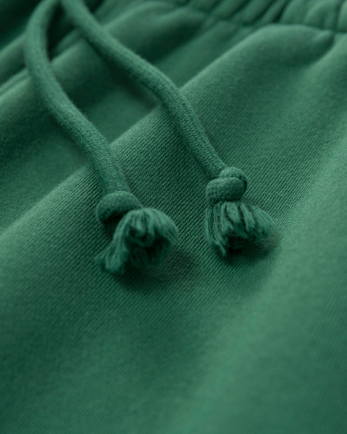 Shop Parks Project x Audubon Sweatpant Inspired by Birds in National Parks | forest-green