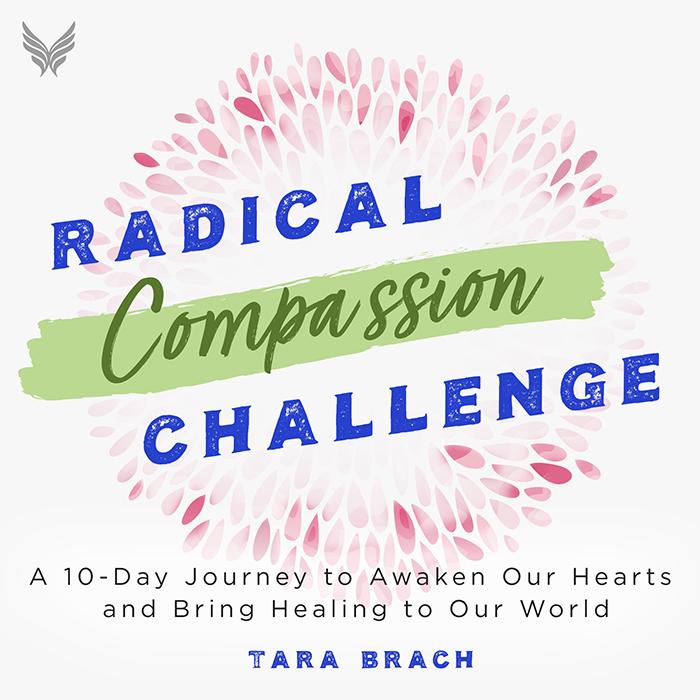Radical Compassion Challenge