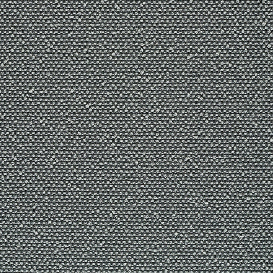 Rhetoric - Pathos - 7017 - 06