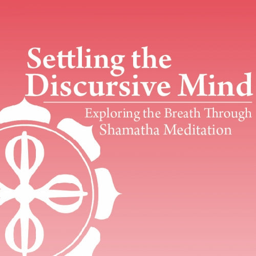 Settling the Discursive Mind