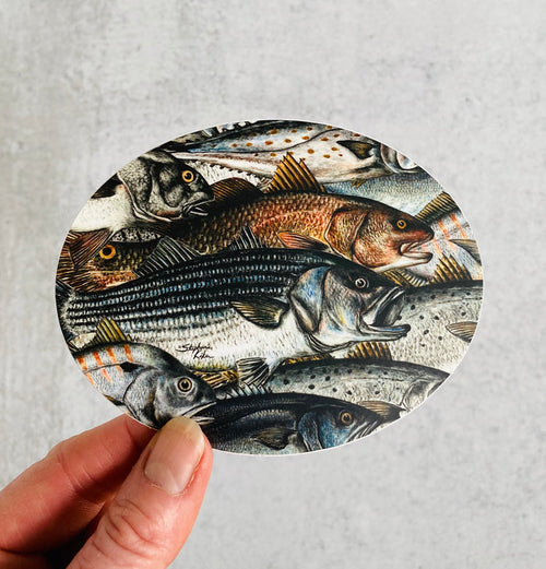 Surf Fish Sticker