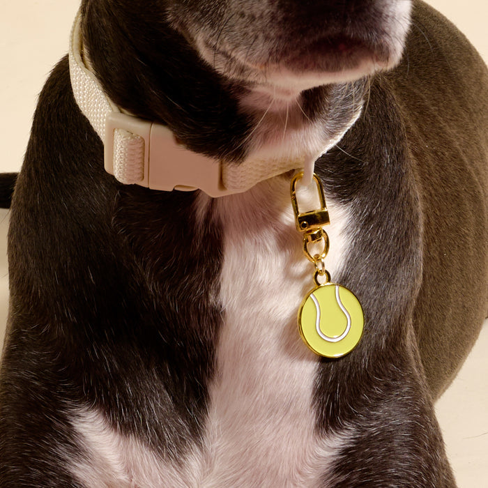 Close-up of a dog wearing a light collar with The Darling Effect’s Tennis Ball Pawfect Collar Charm, gold and yellow in color. Only the lower face and chest are visible, highlighting this playful accessory for stylish pets.