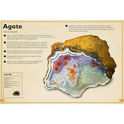 The Magnificent Book of Rocks and Minerals