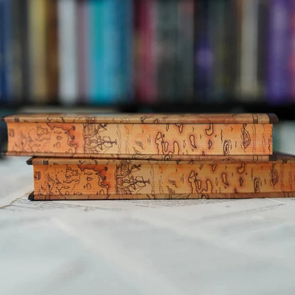 The Sea Witch LitJoy Edition