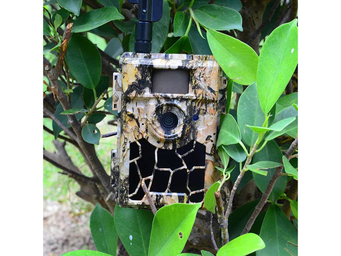 TrailCam HD Wildlife Camera 24MP 1080P No-Glow 4G