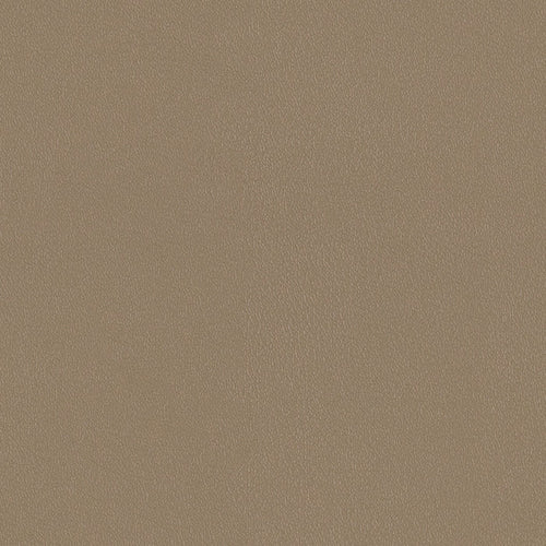 Ultra Durable - Iced Coffee - 4021 - 03 - Half Yard