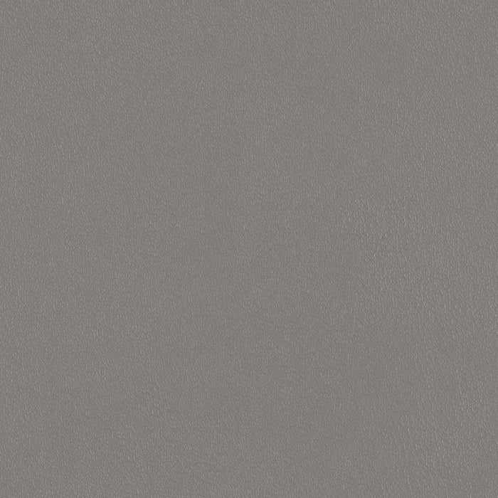 Ultra Durable - Silver Age - 4021 - 04 - Half Yard