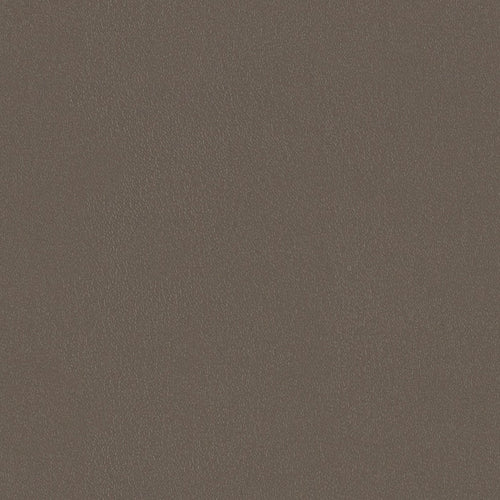 Ultra Durable - Wet Clay - 4021 - 01 - Half Yard