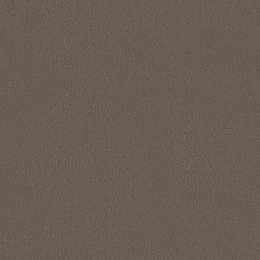 Ultra Durable - Wet Clay - 4021 - 01