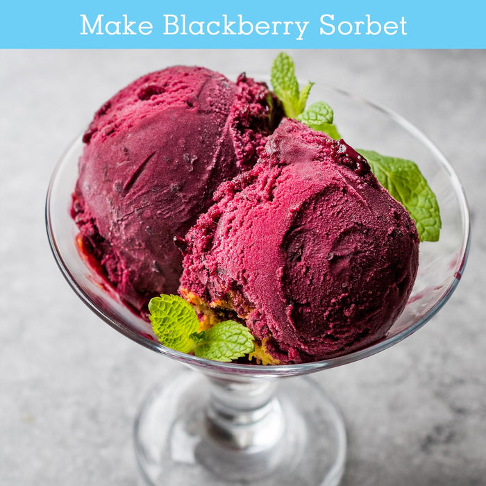 Two scoops of blackberry sorbet in a glass bowl with mint leaves  - Buy Now  Ice Cream & Dessert Maker + Black 10L Mini Fridge