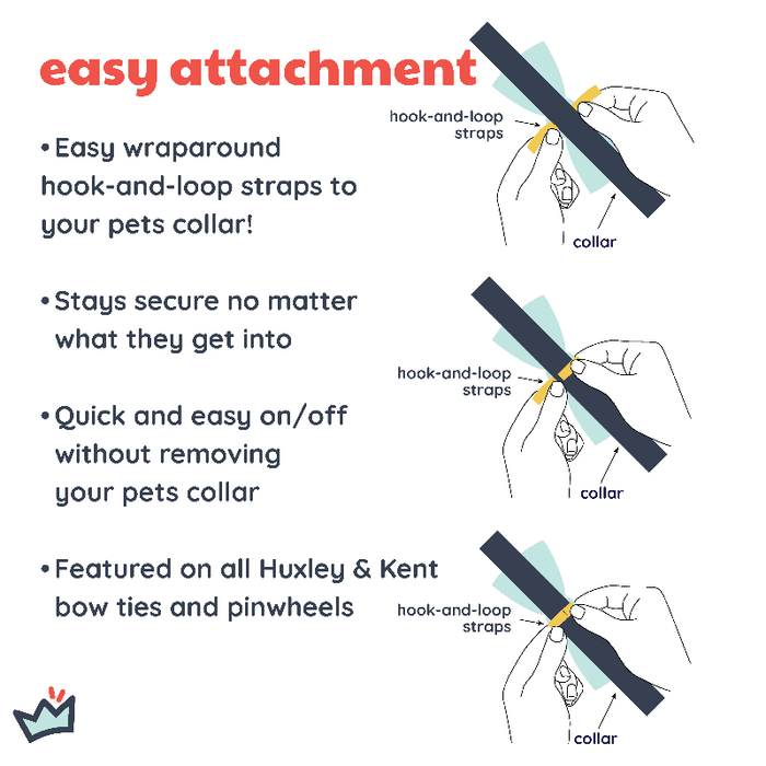 Huxley & Kent Bow Tie XL Witch's Brew Purple Bow Tie Pet Collar Attachment - XL
