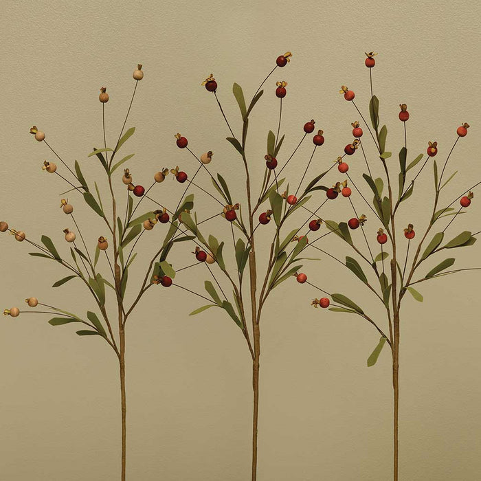 Wood Berry Spray