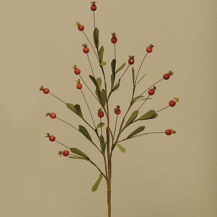 Wood Berry Spray