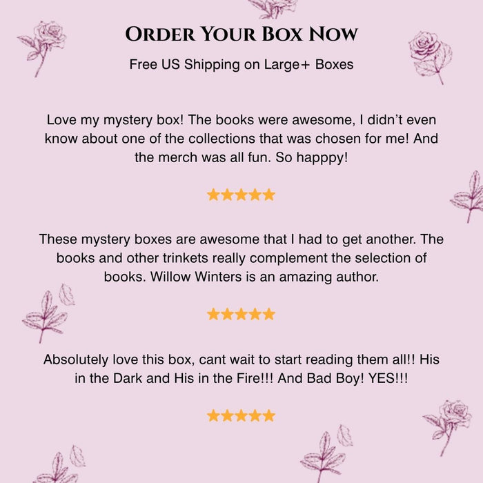 X-Large Book Lover Mystery Box